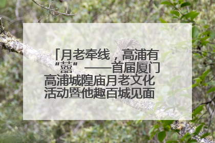 月老牵线，高浦有“囍”——首届厦门高浦城隍庙月老文化活动暨他趣百城见面会隆重举办