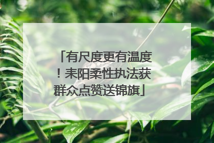 有尺度更有温度！耒阳柔性执法获群众点赞送锦旗