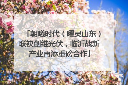 朝曦时代（曜灵山东）联袂创维光伏，临沂战新产业再添重磅合作