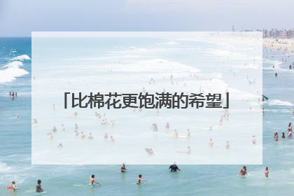 比棉花更饱满的希望