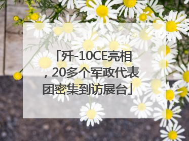 歼-10CE亮相，20多个军政代表团密集到访展台