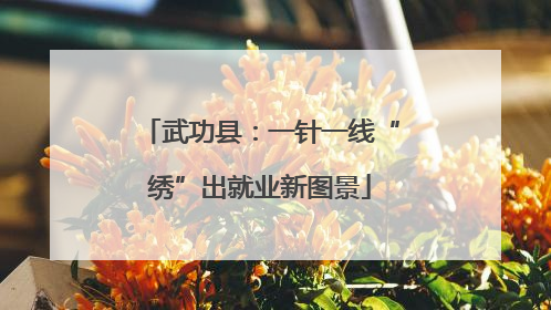 武功县：一针一线“绣”出就业新图景