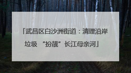 武昌区白沙洲街道：清理沿岸垃圾 “扮靓”长江母亲河