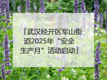 武汉经开区军山街道2025年“安全生产月”活动启动
