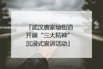 武汉唐家墩街道开展“三大精神”沉浸式宣讲活动