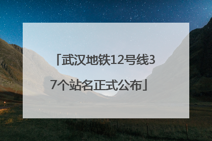 武汉地铁12号线37个站名正式公布