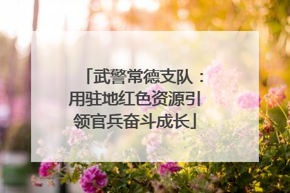 武警常德支队：用驻地红色资源引领官兵奋斗成长