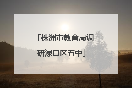 株洲市教育局调研渌口区五中