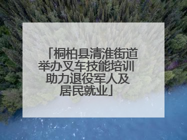 桐柏县清淮街道举办叉车技能培训 助力退役军人及居民就业