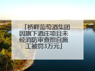 桥畔葡萄酒集团因旗下酒庄项目未经消防审查擅自施工被罚3万元