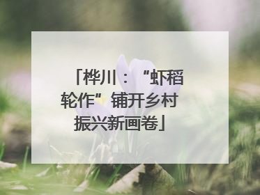 桦川：“虾稻轮作”铺开乡村振兴新画卷