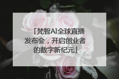 梵智AI全球直播发布会，开启创业者的数字新纪元