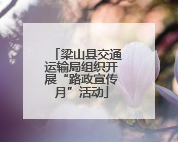 梁山县交通运输局组织开展“路政宣传月”活动
