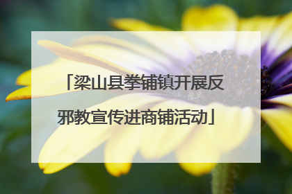 梁山县拳铺镇开展反邪教宣传进商铺活动