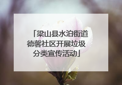 梁山县水泊街道德馨社区开展垃圾分类宣传活动