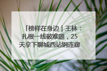 榜样在身边｜王林：扎根一线破难题，25天拿下聊城西站钢连廊“硬核”工程
