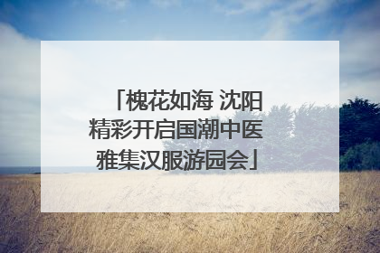 槐花如海 沈阳精彩开启国潮中医雅集汉服游园会