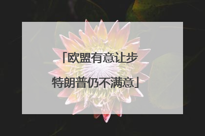 欧盟有意让步 特朗普仍不满意