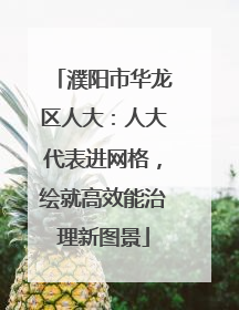 濮阳市华龙区人大：人大代表进网格，绘就高效能治理新图景