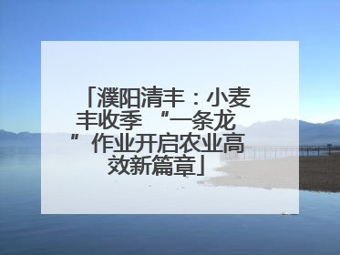 濮阳清丰：小麦丰收季 “一条龙”作业开启农业高效新篇章