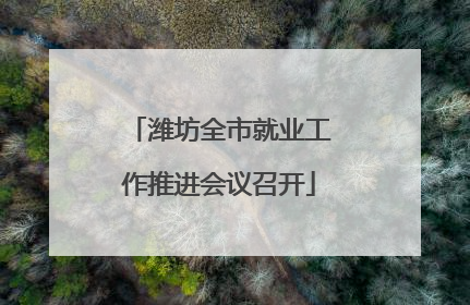 潍坊全市就业工作推进会议召开