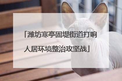 潍坊寒亭固堤街道打响人居环境整治攻坚战