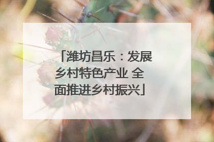 潍坊昌乐：发展乡村特色产业 全面推进乡村振兴