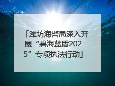 潍坊海警局深入开展“碧海蓝盾2025”专项执法行动