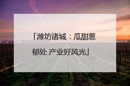 潍坊诸城：瓜甜葱郁处 产业好风光