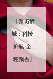 潍坊诸城：科技护航 金穗飘香