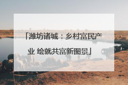 潍坊诸城：乡村富民产业 绘就共富新图景