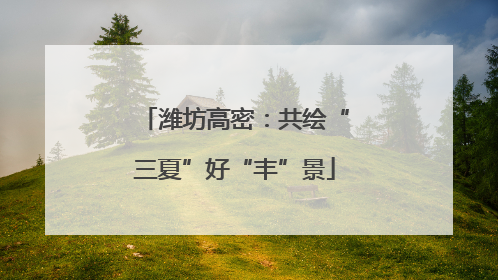 潍坊高密：共绘“三夏”好“丰”景