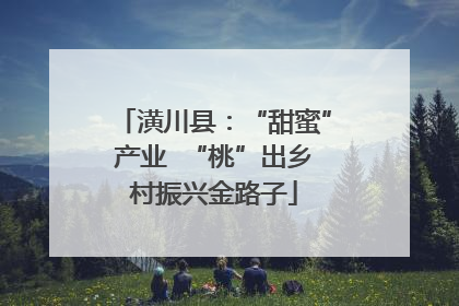 潢川县：“甜蜜”产业  “桃”出乡村振兴金路子