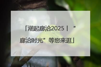 潮起廊洽2025丨“廊洽时光”等您来逛
