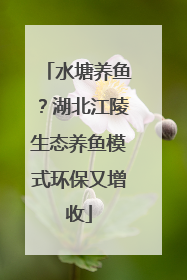 水塘养鱼？湖北江陵生态养鱼模式环保又增收