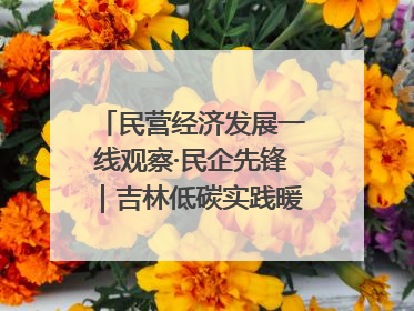 民营经济发展一线观察·民企先锋｜吉林低碳实践暖民心：太阳能供暖技术为北方清洁取暖破局