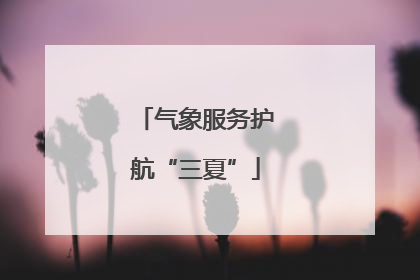 气象服务护航“三夏”