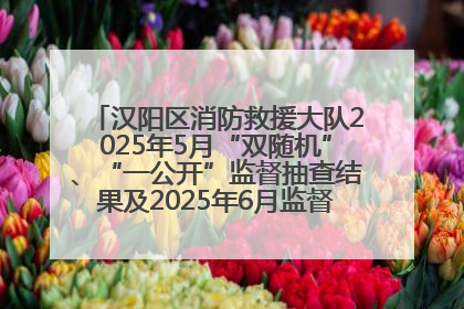 汉阳区消防救援大队2025年5月“双随机”、“一公开”监督抽查结果及2025年6月监督抽查任务公示