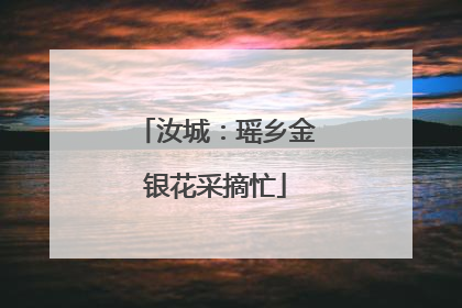 汝城：瑶乡金银花采摘忙