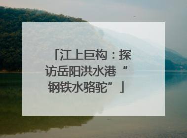 江上巨构：探访岳阳洪水港“钢铁水骆驼”