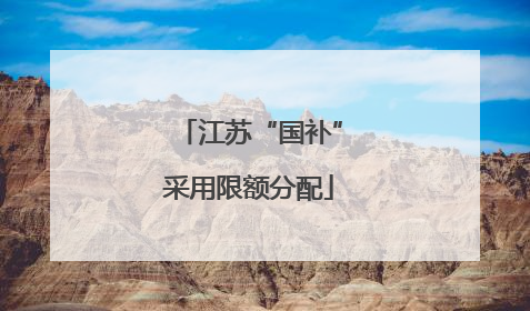 江苏“国补”采用限额分配