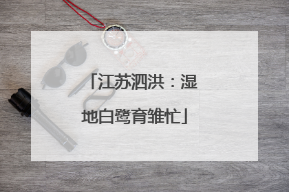 江苏泗洪：湿地白鹭育雏忙