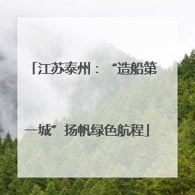 江苏泰州：“造船第一城”扬帆绿色航程