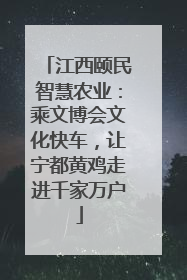 江西颐民智慧农业：乘文博会文化快车，让宁都黄鸡走进千家万户