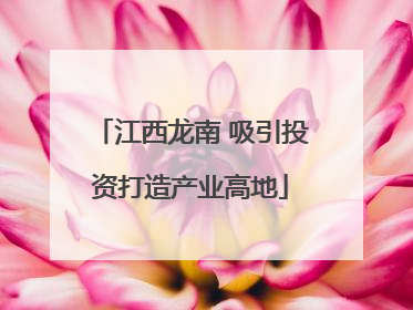 江西龙南 吸引投资打造产业高地
