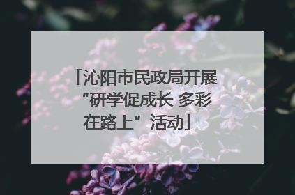 沁阳市民政局开展“研学促成长 多彩在路上”活动