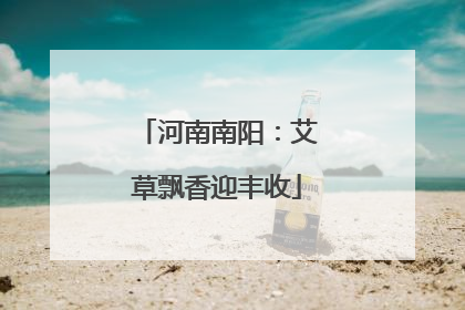 河南南阳：艾草飘香迎丰收