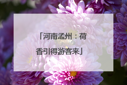 河南孟州：荷香引得游客来