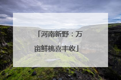河南新野：万亩鲜桃喜丰收