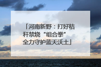河南新野：打好秸秆禁烧“组合拳” 全力守护蓝天沃土